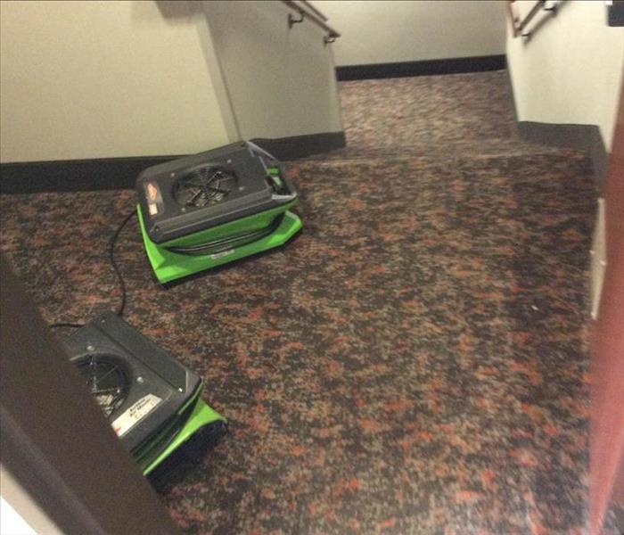 Hallway with a red patterned carpet with two green air movers.