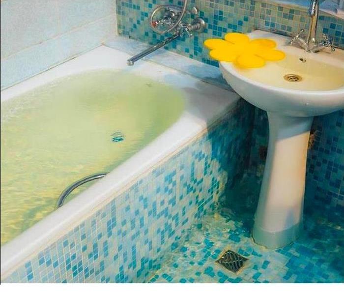 Sewage backup in a bathtub
